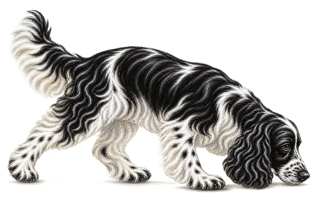 Truffle Dog