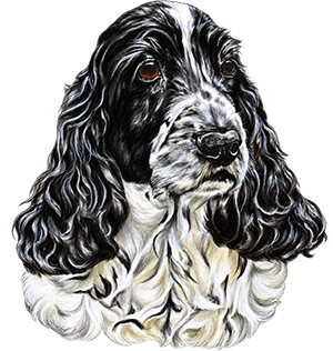 Truffle Dog